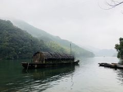 -桐君山春江扬帆码头