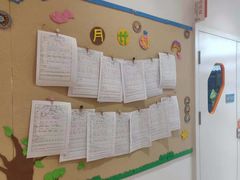 -金色雨林学习力培优(专注力提升)