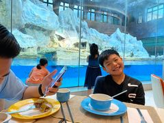 -帝企鹅自助餐厅•儿童岛•真企鹅(长隆企鹅酒店)