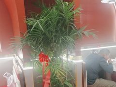 -马白开来特色羊排揪片子  (总店)