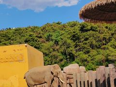 -沈阳森林动物园