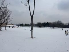 -盘龙城国家考古遗址公园