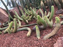 -南通洲际绿博园