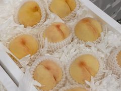 -西郊国际农产品交易中心
