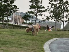 -青岛北站