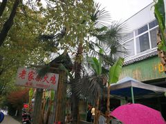 -老家柴火鸡(益州路店)