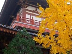 -西安青龙寺遗址景区