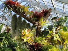 -国家植物园南园