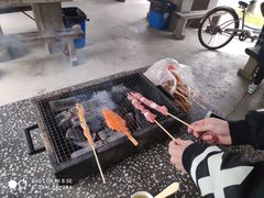 -东平国家森林公园