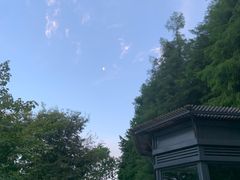 -昆山城市生态森林公园