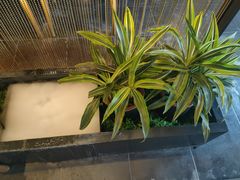 -素慧餐厅(大虹桥店)