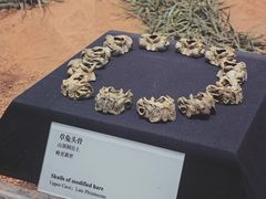 -北京周口店北京人遗址博物馆