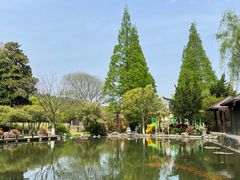 -白马涧龙池景区