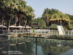 -三圣花乡旅游区