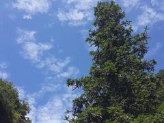 android_upload_pic-太湖源风景区