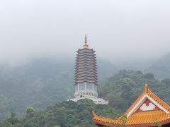 -深圳仙湖植物园