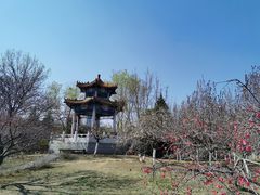 -滨河世纪广场公园