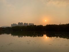 -昆山城市生态森林公园