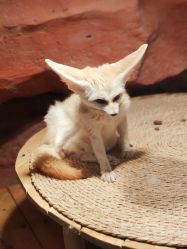 -Zoolung Zoolung动物主题公园(海信广场店)