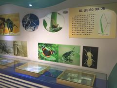 -上海昆虫博物馆