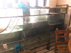 -大赤坎肥仔强烧味海鲜餐厅(大赤坎店)