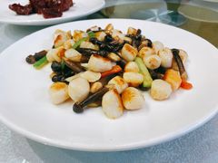 -天福苑(崇宁路店)