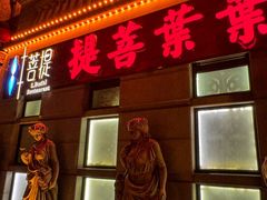 -叶叶菩提(太原别墅店)