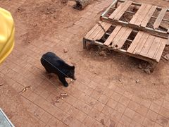 -昆明动物园