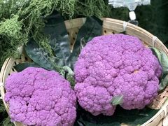 -花菇朵 ll 野生菌火锅·精品云南菜(后沙峪店)