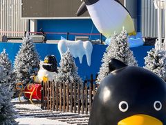 -汕头中海黄金海岸水上乐园