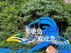 -东澳岛