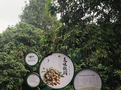 -张坝桂圆林公园