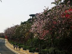 -小南山公园