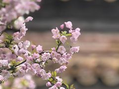 -北京市劳动人民文化宫(太庙)