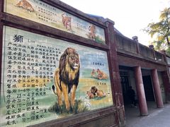 -保定市动物园