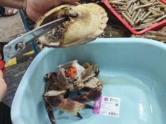 -船奇蒸汽海鲜·闽菜(八市海鲜总店)