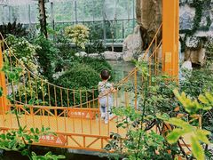 -南宫五洲植物乐园