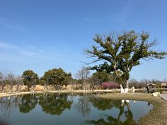 -良渚古城遗址公园