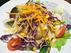 蔬菜沙拉-热血兄弟·炭火烤肉(融侨中心店)