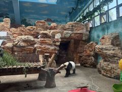 -石家庄市动物园