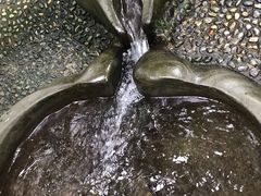 -成都市活水公园