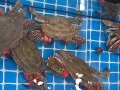 -抹直口特色菜馆(一店)