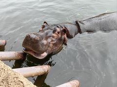 -杭州野生动物世界