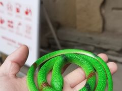 -恩阳古镇