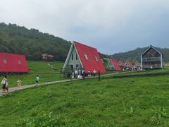 -关山草原