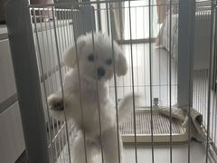 -上海会展方隅服务公寓
