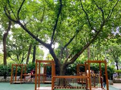 -东风公园