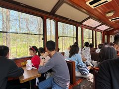 -合肥滨湖国家森林公园