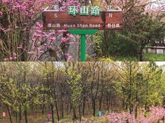 -江苏三台山国家森林公园