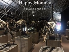 -世界恐龙谷景区